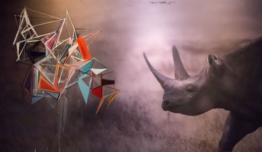 Rhino vs. the Abstract