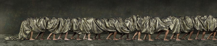 Centipede